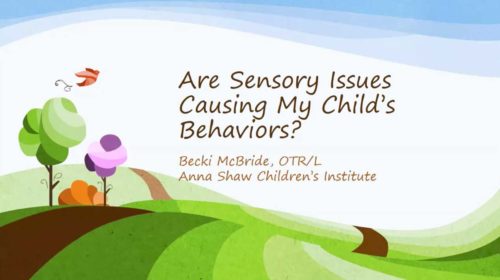 CHAMP Webinar Series - Are Sensory Issues Causing My Childs Behavior