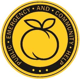 Georgia yellow dot program seal