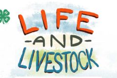 Life & Livestock